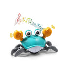 KIT GATEO | Cangrejo Musical, Casco Antigolpes y Rodilleras